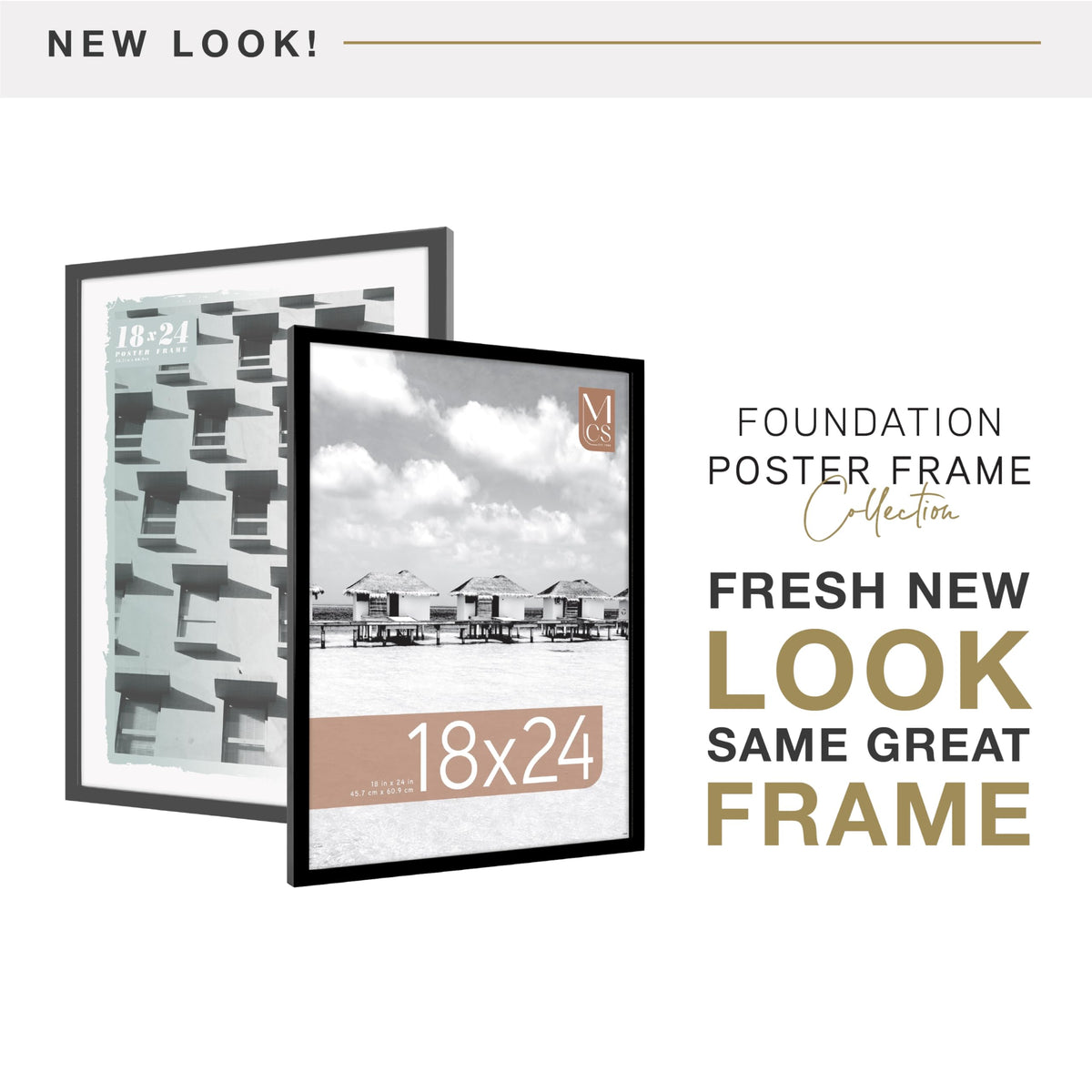 MCS Foundation 18x24 poster frame shown horizontal for wide prints