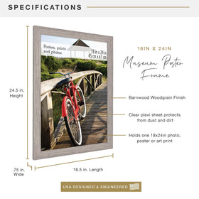 MCS Museum Frame plexi front provides clear, safe protection