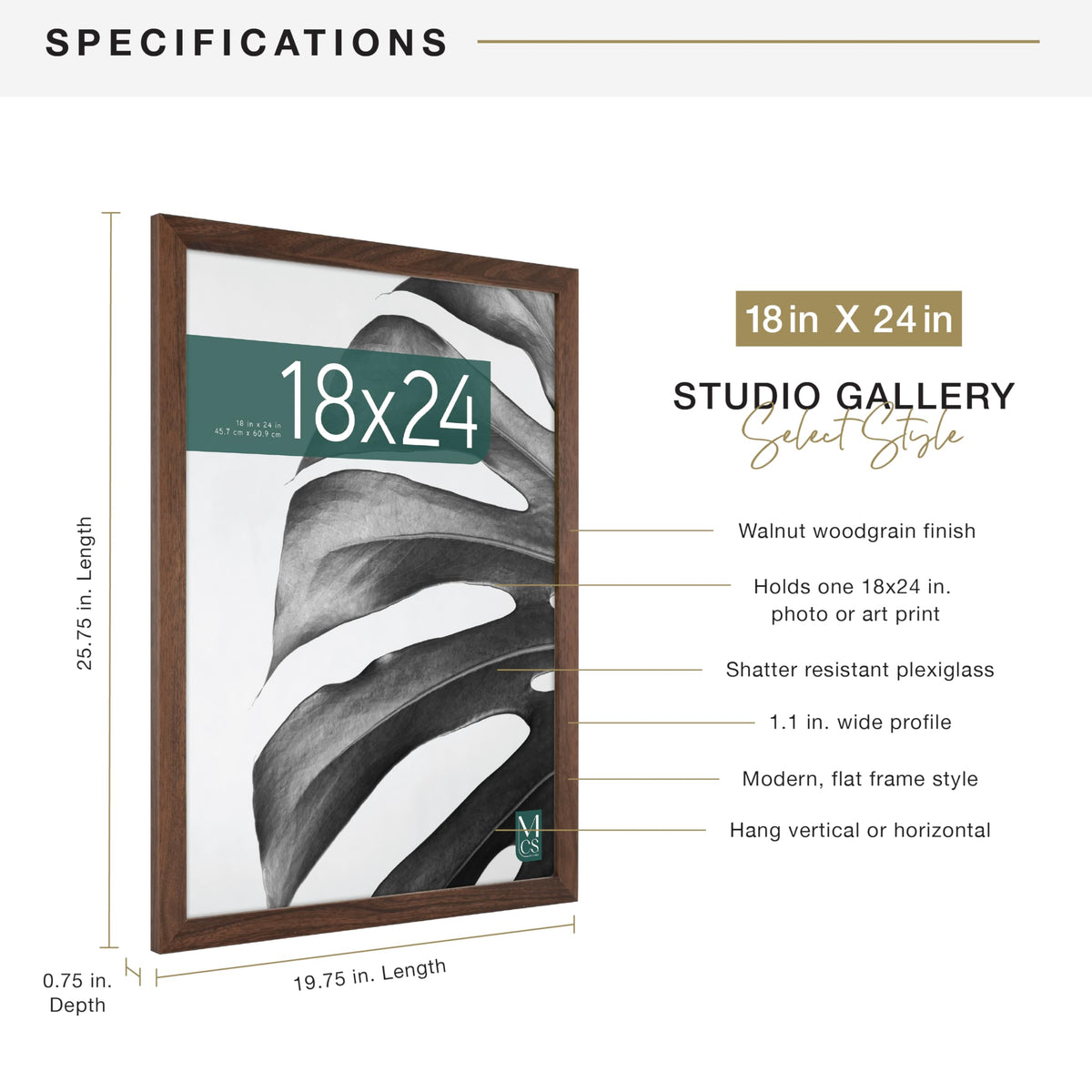 MCS Studio Gallery frame with plexiglass front protects photos while preserving clarity.