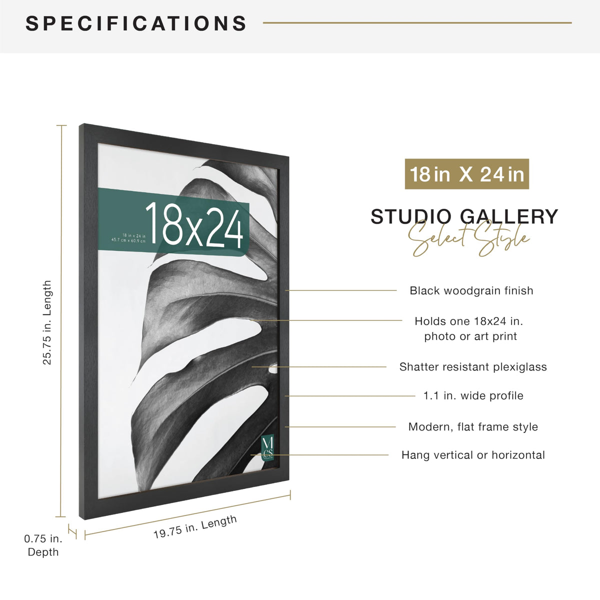 MCS Studio Gallery 18x24 frame with photo demonstrates effortless swapping and crisp display