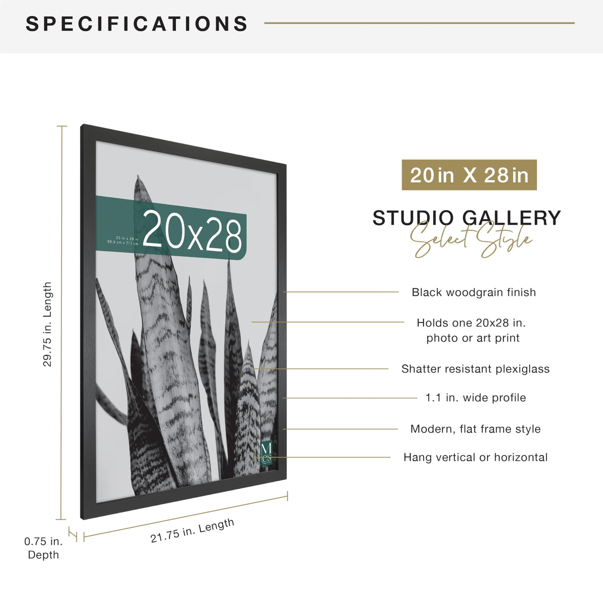 MCS Studio Gallery plexiglass closeup offers clear view and photo protection.