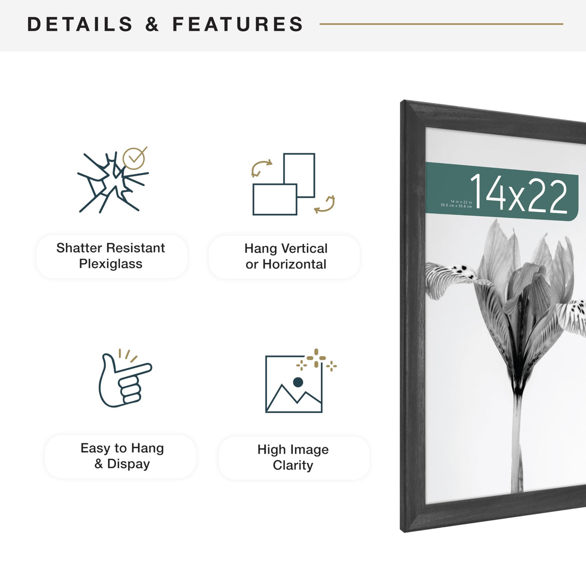 MCS Studio Gallery Classic 14x22 frame shown in living room for versatile décor