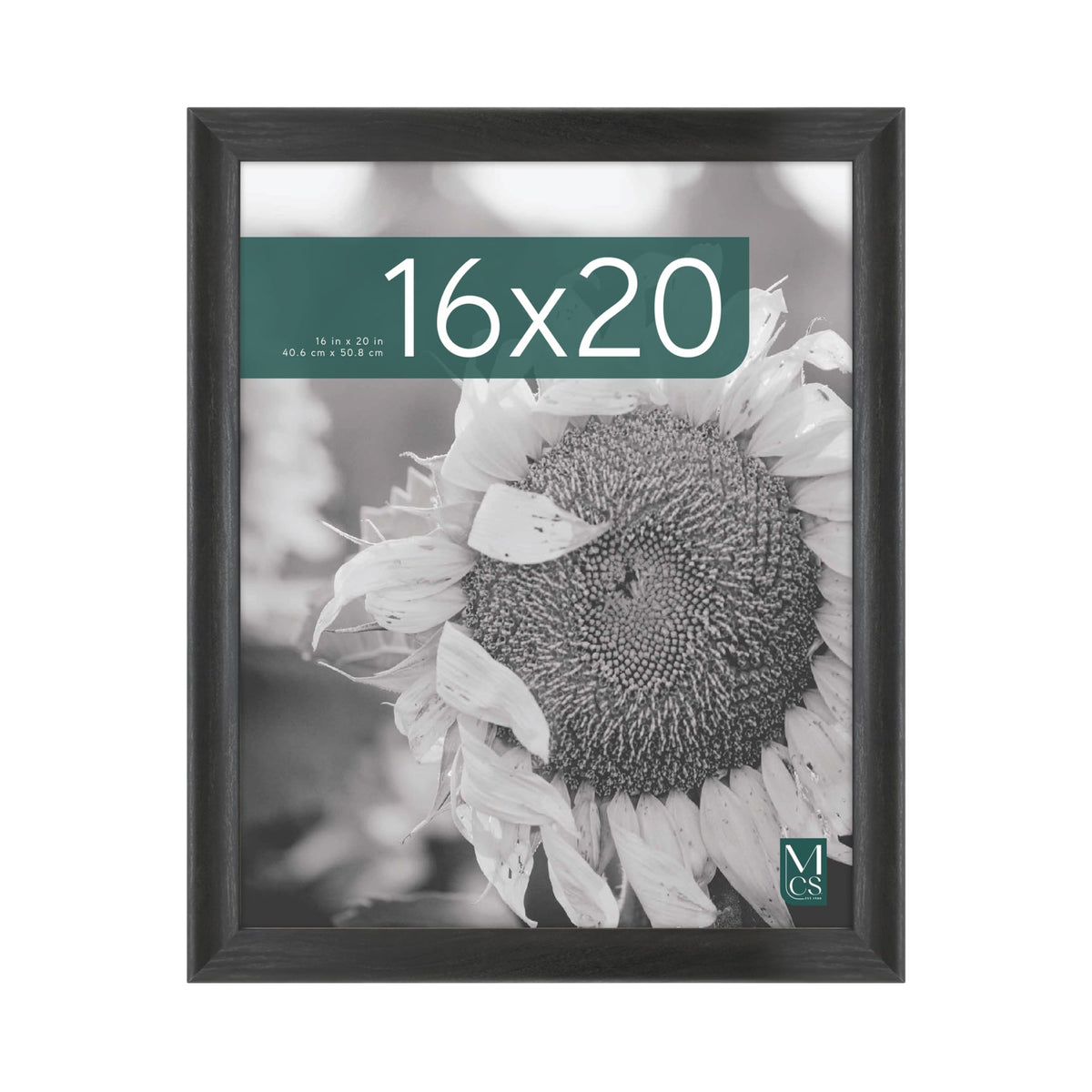 MCS Studio Gallery Classic 16x20 frame front view with black woodgrain finish for timeless displays