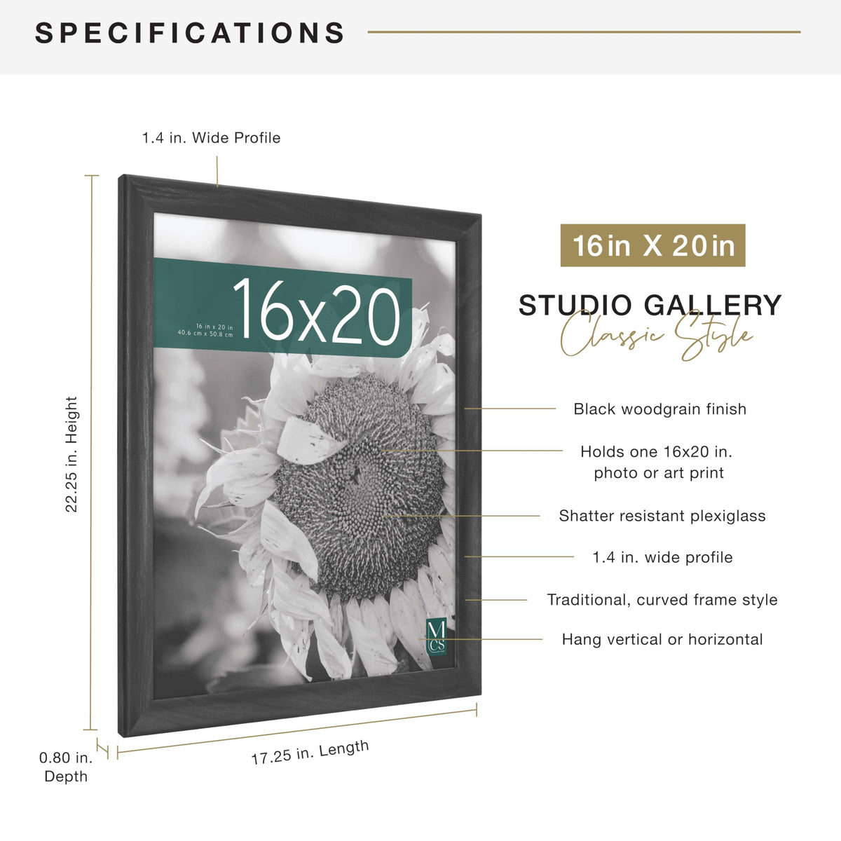 MCS Studio Gallery Classic frame with shatter-resistant plexiglass protects prints while maintaining clear visibility
