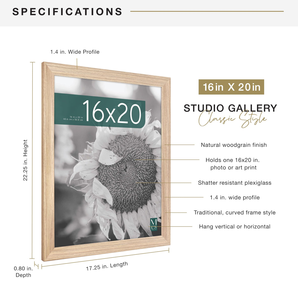 MCS Studio Gallery Classic front with plexiglass protecting photos