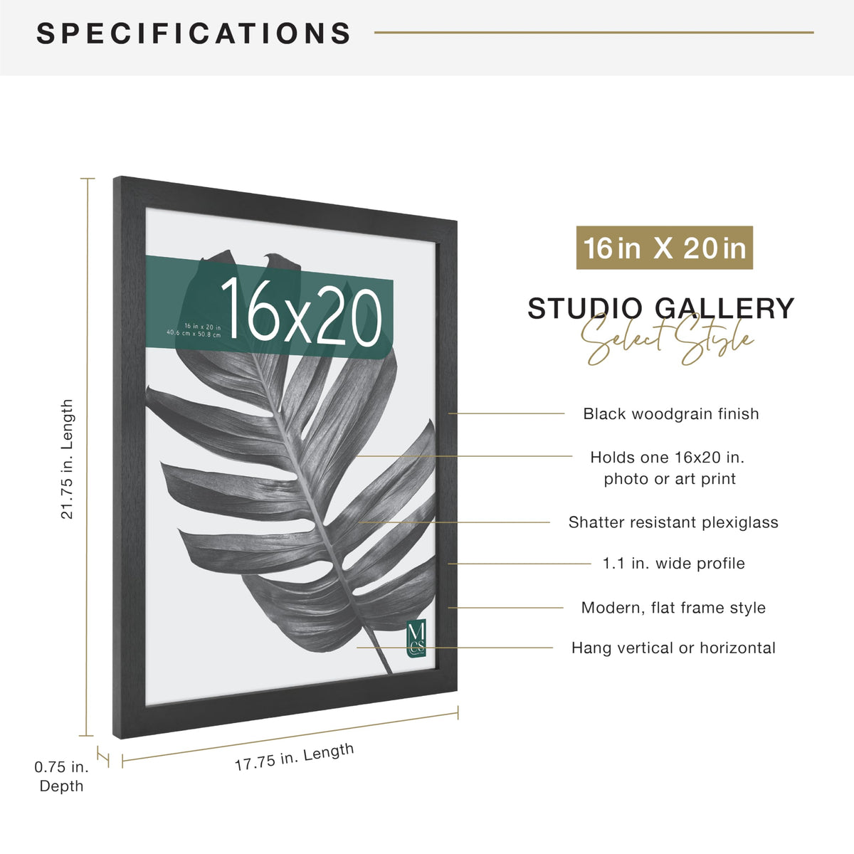 MCS Studio Gallery back with plexiglass protects photos and artwork.