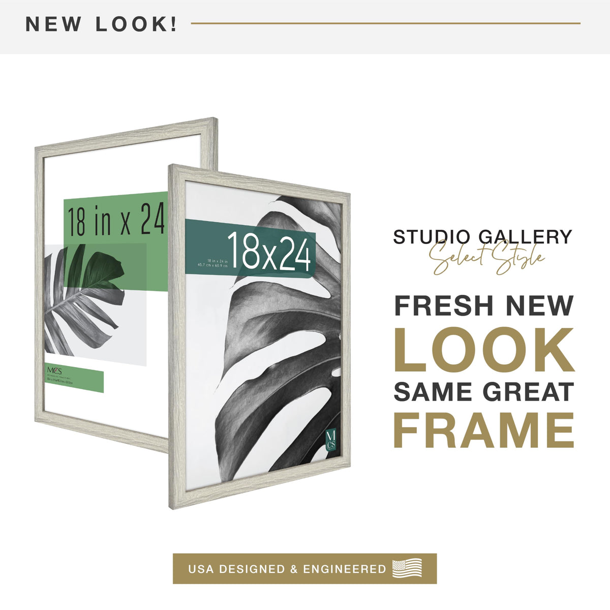 MCS Studio Gallery frame front with plexiglass protects cherished art displays.