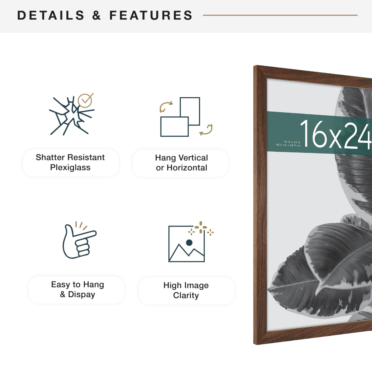 MCS Studio Gallery frame with sawtooth hangers for easy mounting