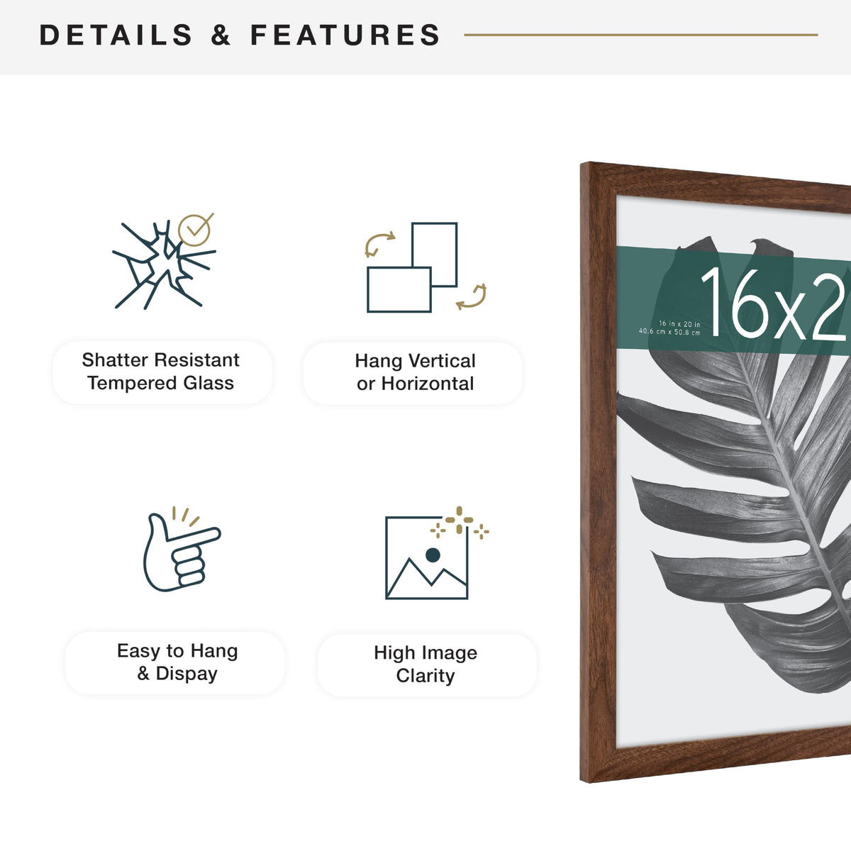 MCS Studio Gallery horizontal hanging demonstrates versatile wall layouts for photos and art.
