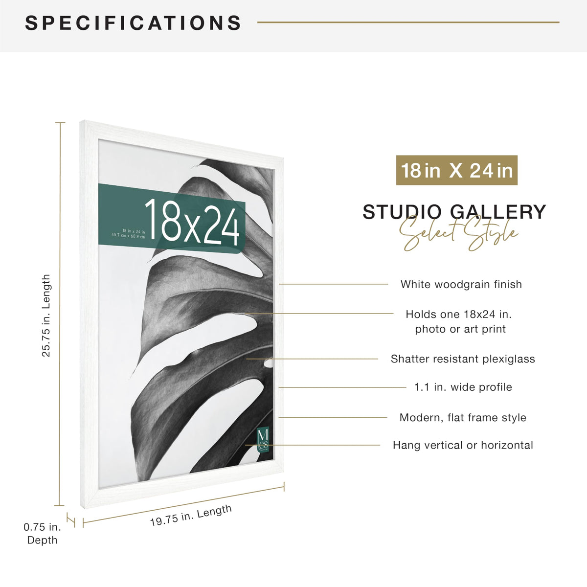 MCS Studio Gallery frame with pre-attached sawtooth hangers for versatile hanging.