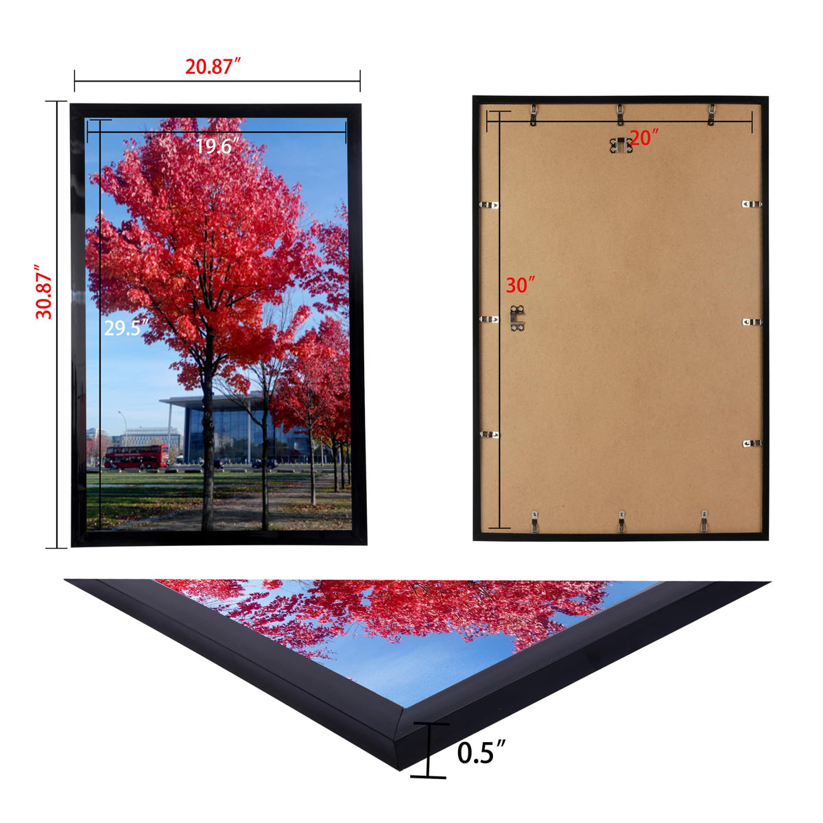 Medog Studio Gallery 20x30 frame black wall mounted for space-saving display