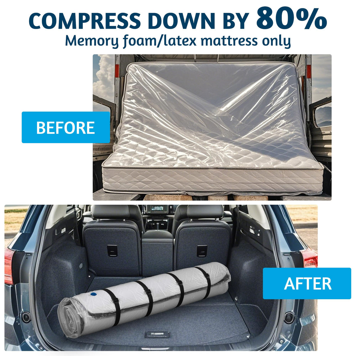 Meersburg bag includes moving straps for easy handling during transport