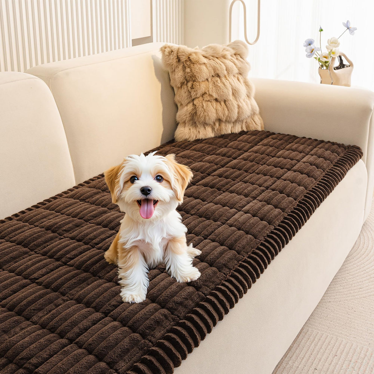 MEETSKY couch cover on sofa with dogs offers protective, plush comfort.