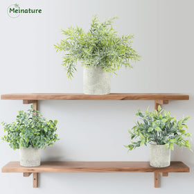 Meinature 10-inch desk plants fit compact spaces like shelves, counters, and nightstands.