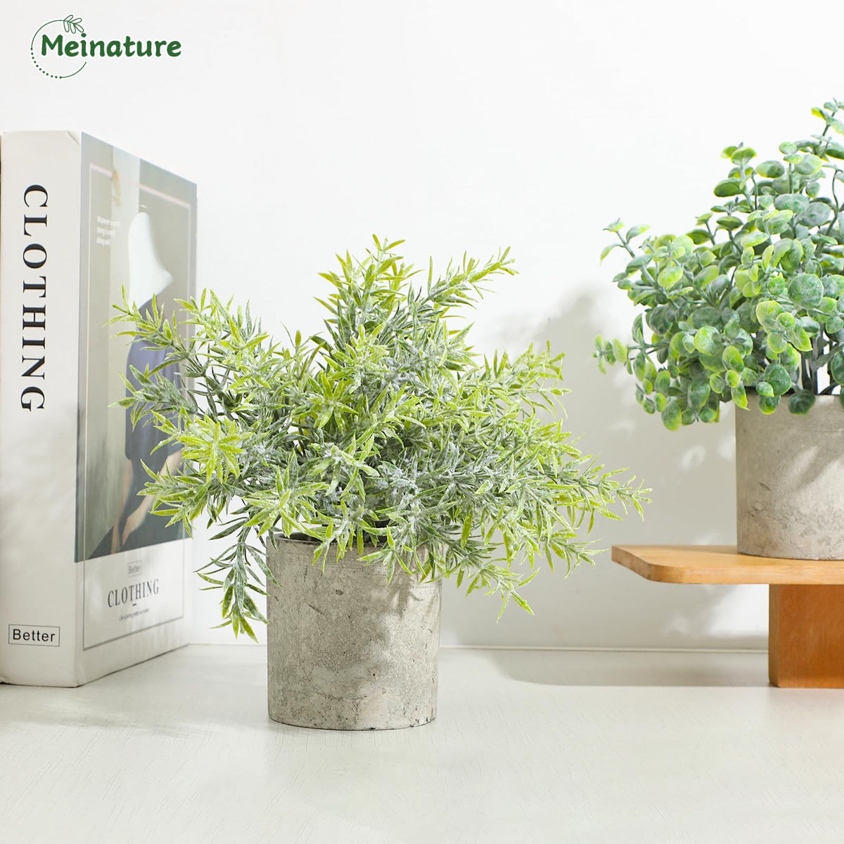 Meinature compact desk plants for office decor in farmhouse, boho, or modern styles.