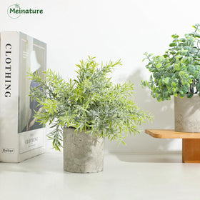 Meinature compact desk plants for office decor in farmhouse, boho, or modern styles.