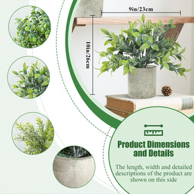 Meinature frosted-grey-green leaves close-up shows realistic texture for chic interiors.