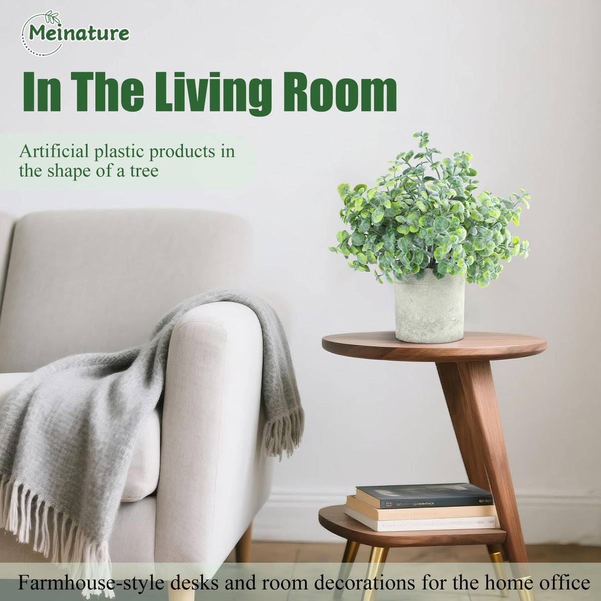 Meinature no-maintenance indoor plants ideal for busy desks and windowless rooms.