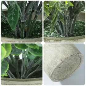 Meinature versatile home decor plant trio enhances shelves and desks with lifelike charm.