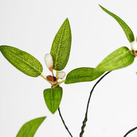 Melorca&Guilla myrtus communis artificial stems for wreaths and crafts.