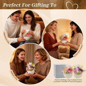 Memorvia pink preserved rose vase – packaging visuals, ready to delight loved ones