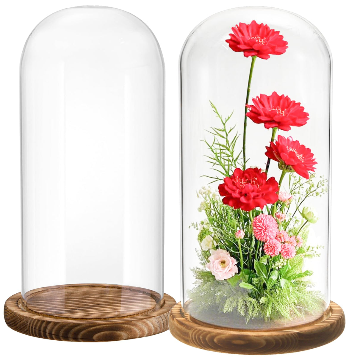 Mezchi 10-inch glass cloche dome for crystal-clear display.