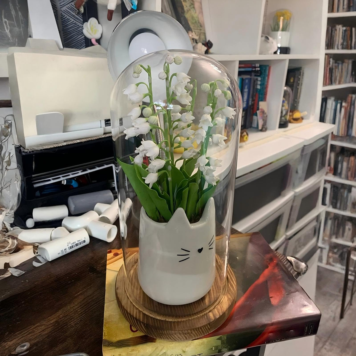 Mezchi borosilicate glass dome emphasizes durability and heat resistance.
