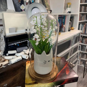 Mezchi borosilicate glass dome emphasizes durability and heat resistance.