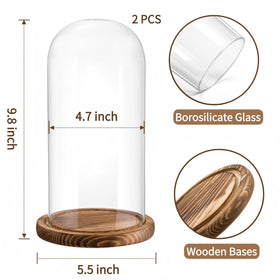 Mezchi hand-blown glass dome showing pristine clarity.