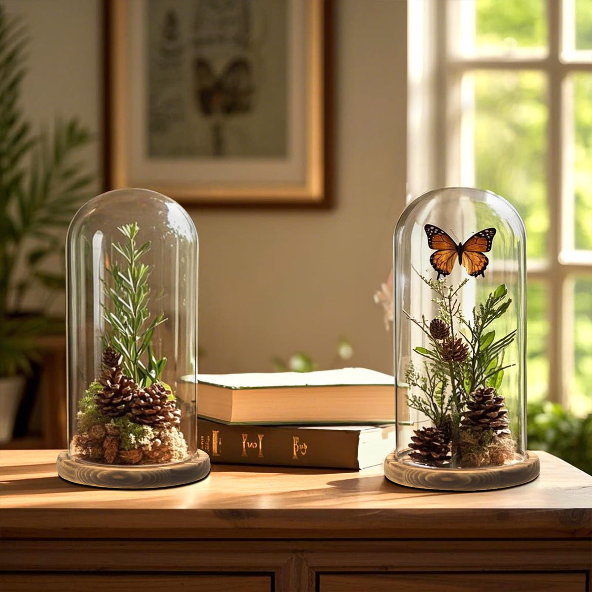 Mezchi dark brown wood base complements the clear cloche.