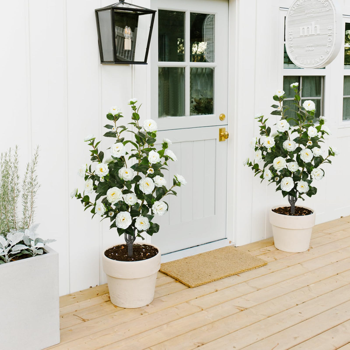 MHMJON camellia tree includes faux moss for a more realistic planter look.