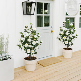 MHMJON camellia tree includes faux moss for a more realistic planter look.