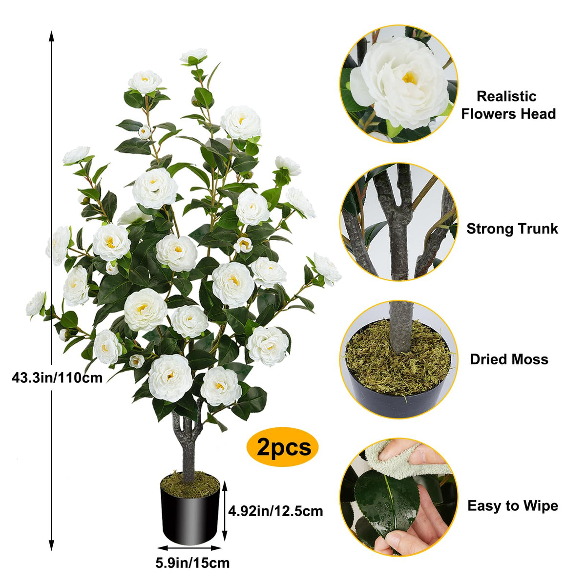MHMJON camellia tree with 32 white blooms adds elegant charm to entryways.