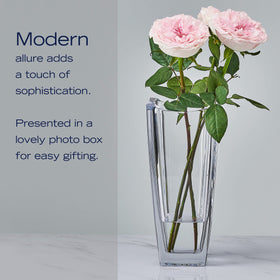Mikasa Baron Crystal Vase hand-wash care recommended to extend life.