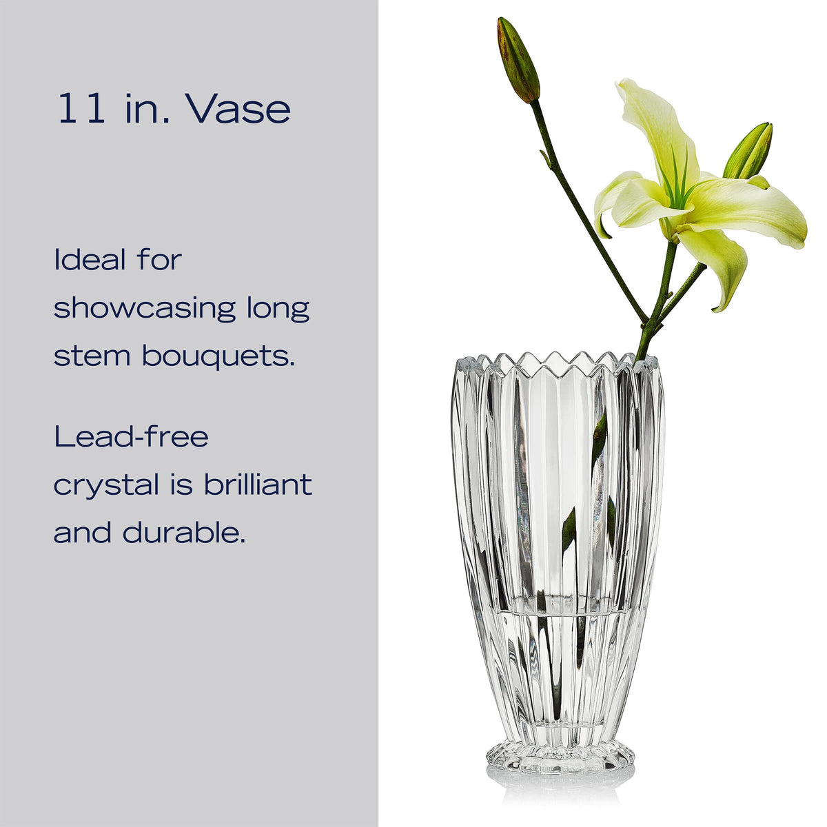 11 inch height supports tall blooms and dramatic arrangements.