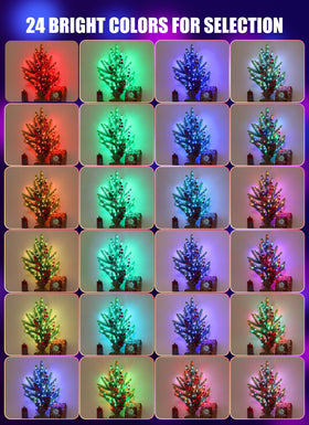 Minetom remote controlled fairy lights with 24 colors for easy mood setting.