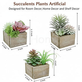 Mingfuxin 3-pack succulents enhance desks and shelves with color.