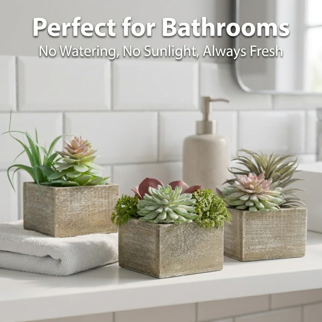 No-maintenance Mingfuxin succulents in wood pots for easy care.