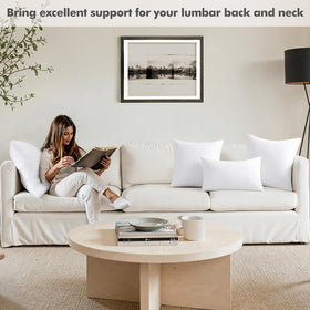 MIULEE decorative pillow insert perfect for living room and bedroom styling