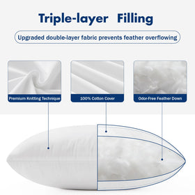 MIULEE insert on sofa showcases versatile styling and plush support.
