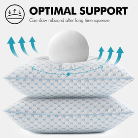 Two MIULEE pillows on a stylish sofa showcase decorative comfort.