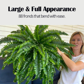 Miuyeah Miao GYERB fluffy fern branches arranged for a lush tropical look