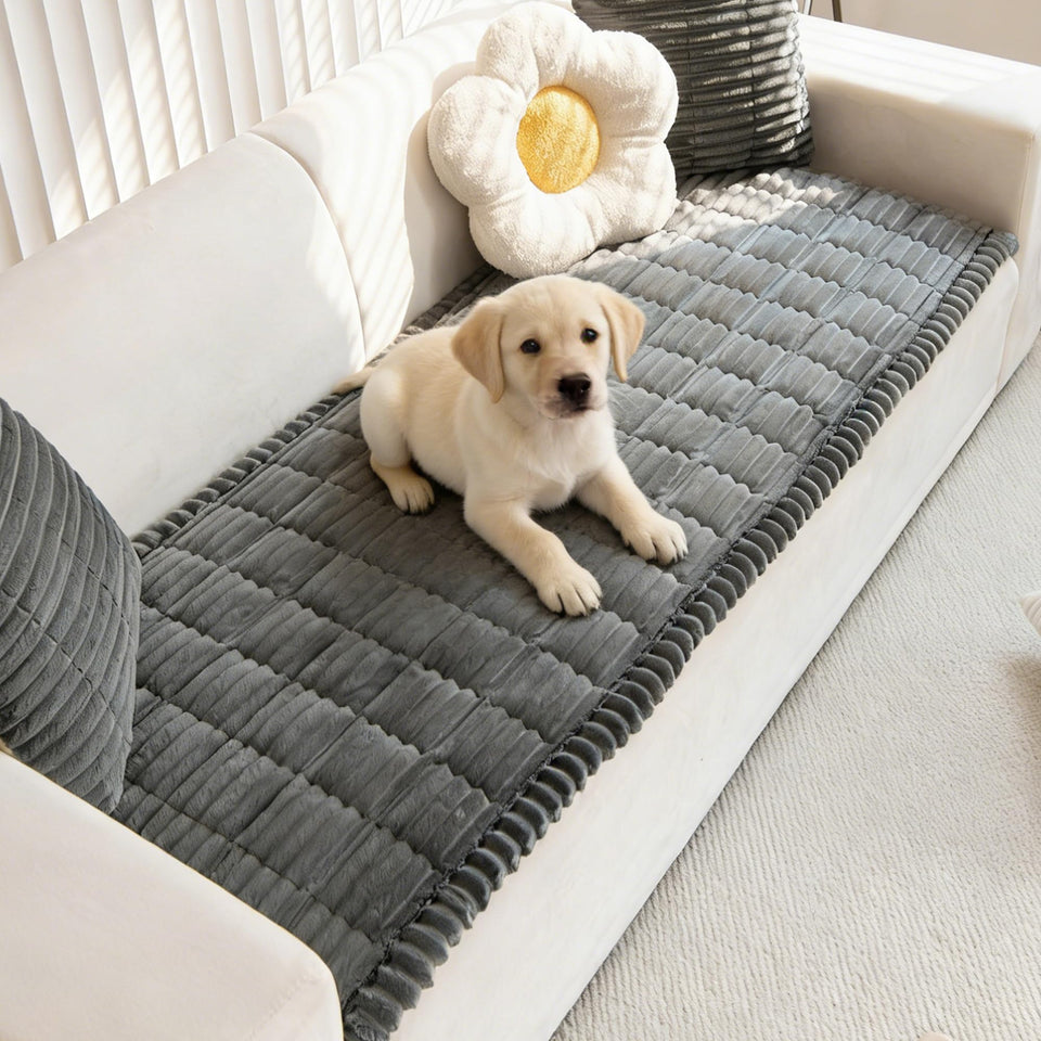Mivnue dark-grey dog couch cover fabric close-up showing soft durable material for long-lasting protection.