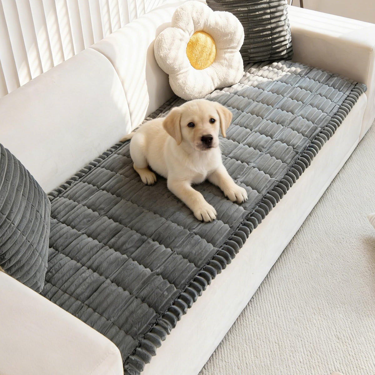 Mivnue pet couch cover in dark grey protects sofa from fur and spills.