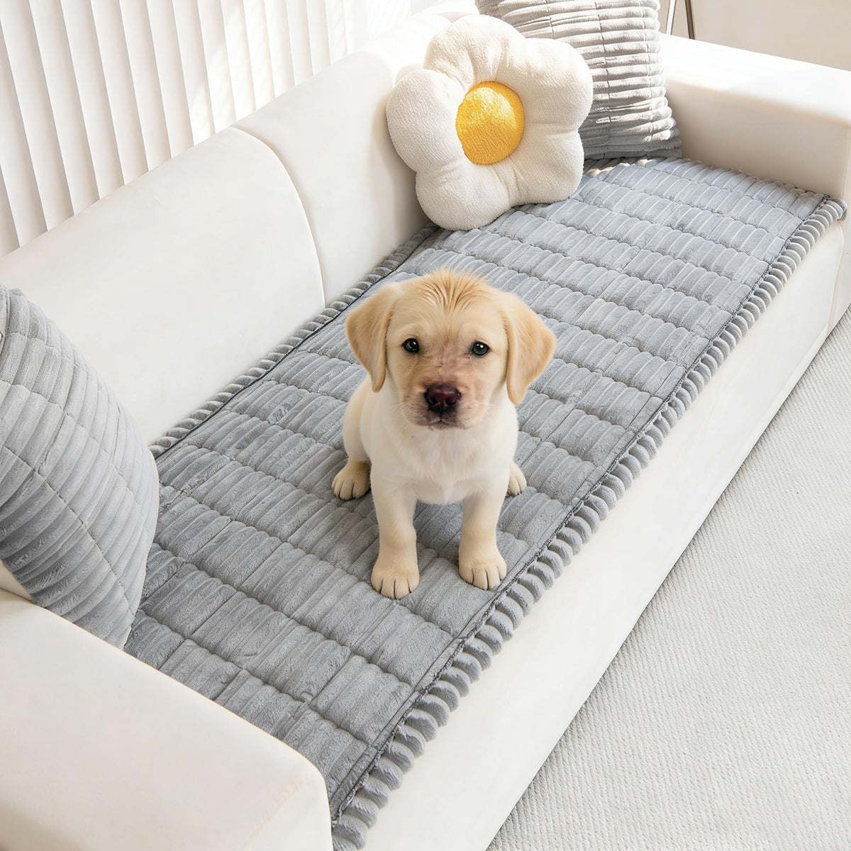 Mivnue pet couch cover front view shows soft fabric and clean lines.