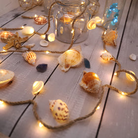 MIYA LIFE beach decorations with seashells elevate coastal living spaces