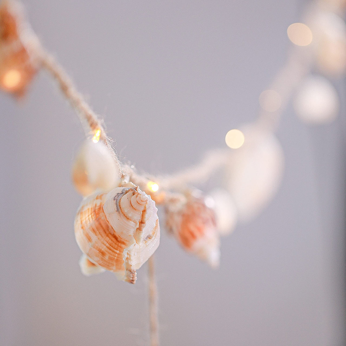 MIYA LIFE conch shell light creates warm ambient glow for evenings