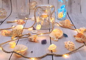 MIYA LIFE starfish and seashell decor brighten coastal bedroom corners