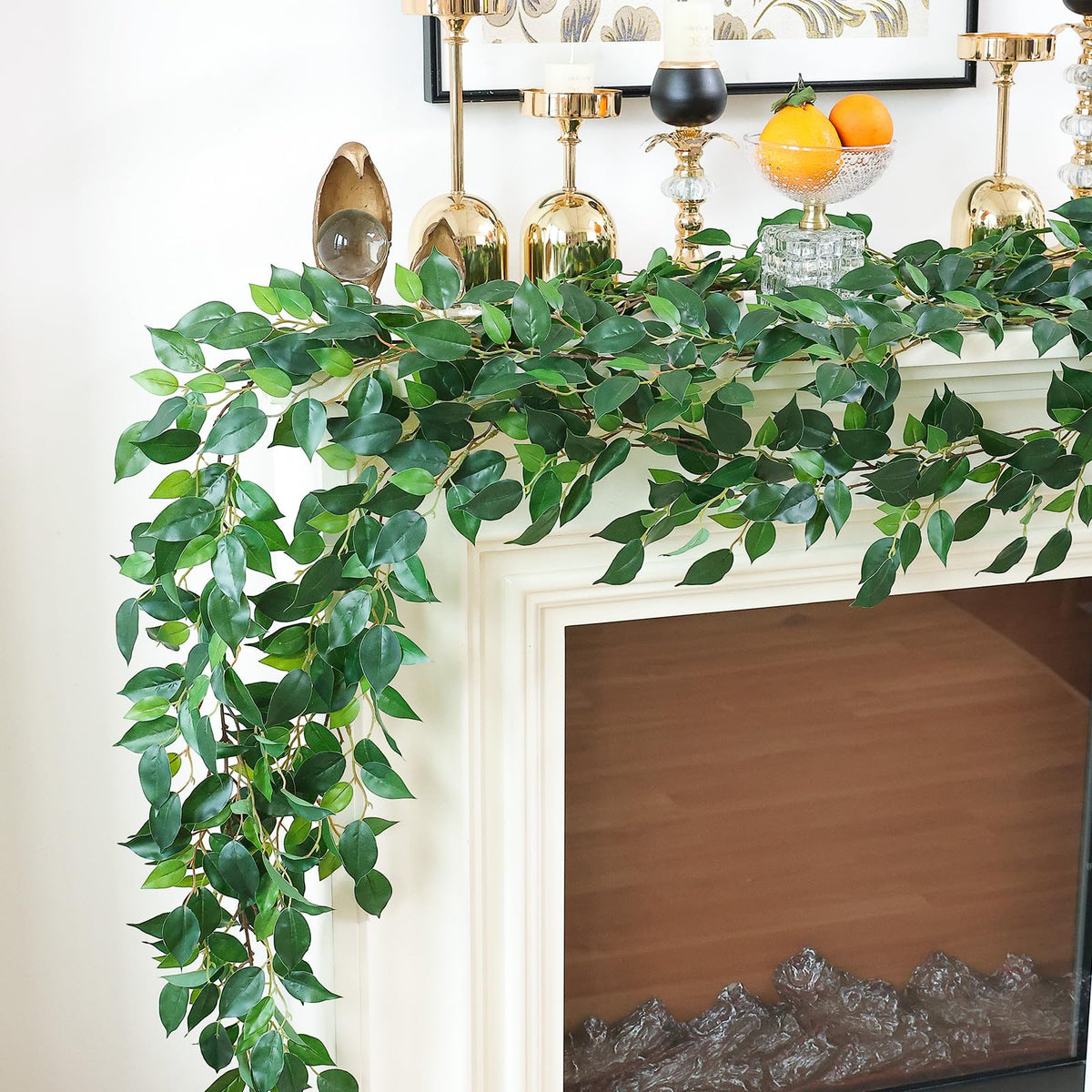 Mizii hanging vines used on wall and window for lush decor.