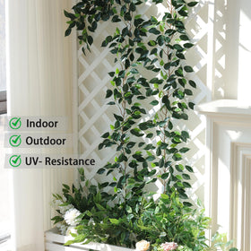 Mizii greenery decor brightens indoor spaces like bedrooms.
